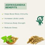 Vitro-Organic-Ashwagandha-Powder-100g-Safed-Musli-Powder-100g-I-AM-Superherb-safed-musli-ashwagandha-0